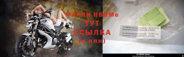 прущие грибы Струнино