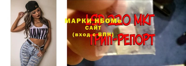 винт Белокуриха