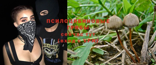 бошки Белоозёрский