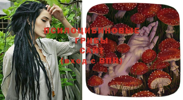 бошки Белоозёрский
